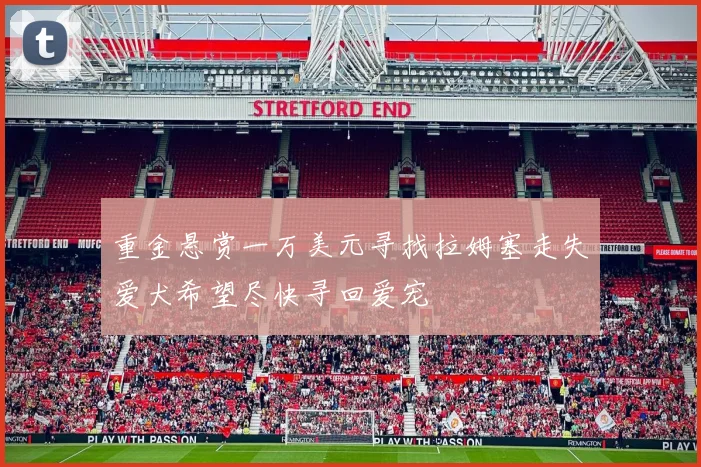重金悬赏一万美元寻找拉姆塞走失爱犬希望尽快寻回爱宠