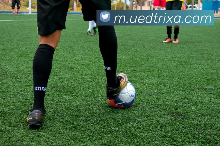 UED体育发展历程