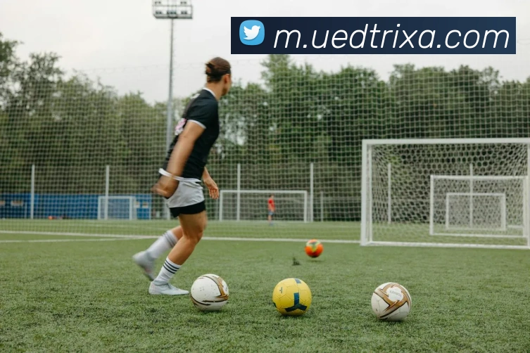 媒体人期待里夫斯表现出色詹姆斯和东契奇需适应新战术体系